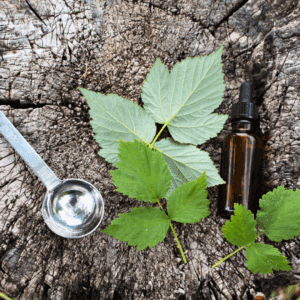 Kosmetiikkaa villiyrteistä, Turku 23.5.26