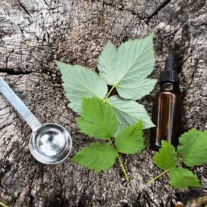 Kosmetiikkaa villiyrteistä, Turku 23.5.26