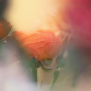 Tuoksupaja - luo oma tuoksutarinasi